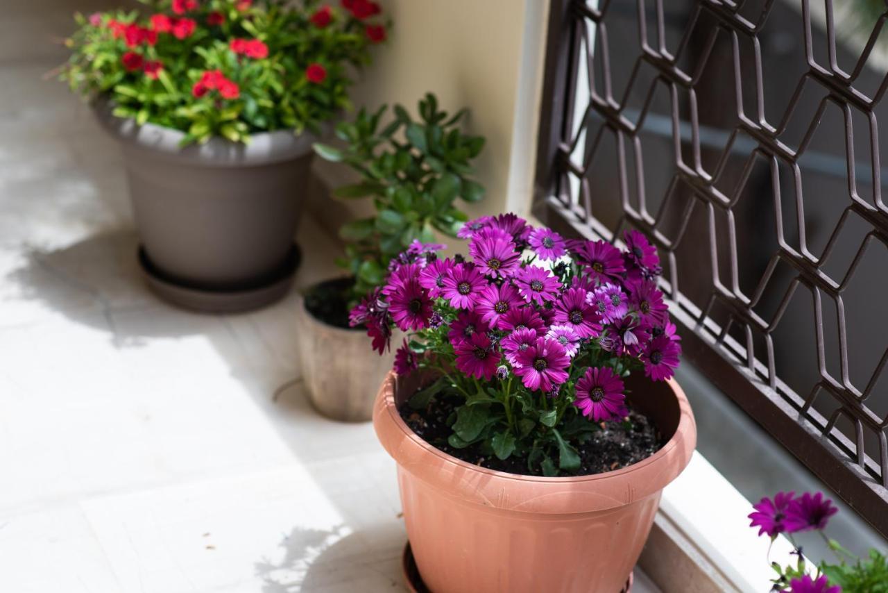 Dreamy Holidays Apartment Chania  Exterior photo