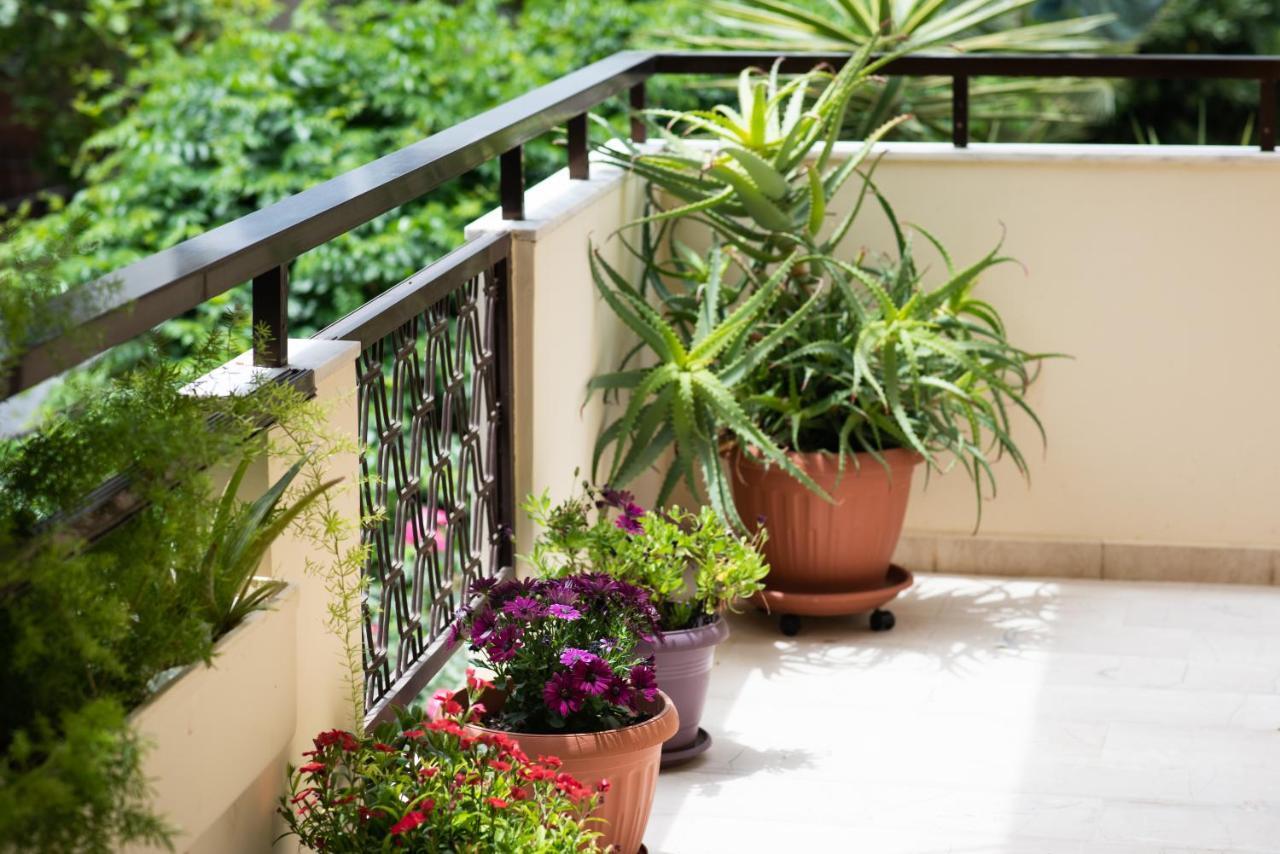 Dreamy Holidays Apartment Chania  Exterior photo
